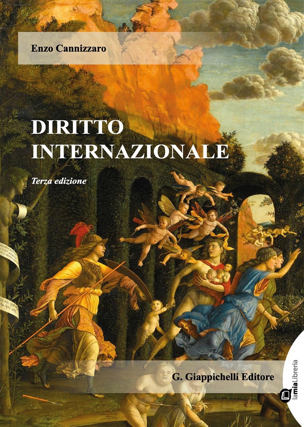 Diritto internazionale. Con aggiornamento online