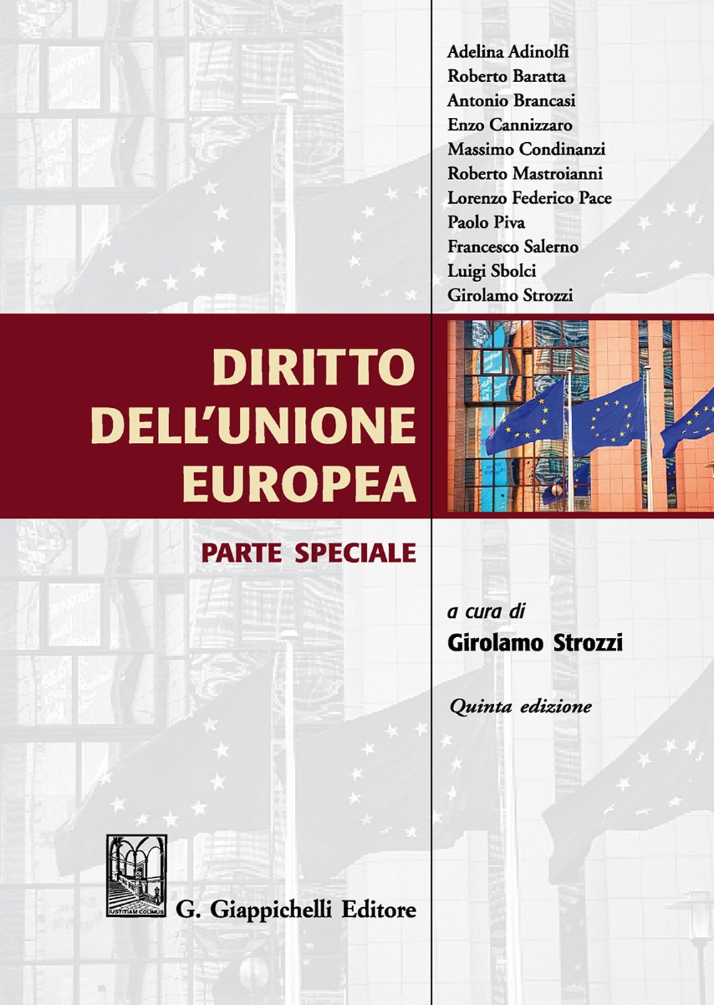 Diritto dell'Unione Europea. Parte speciale