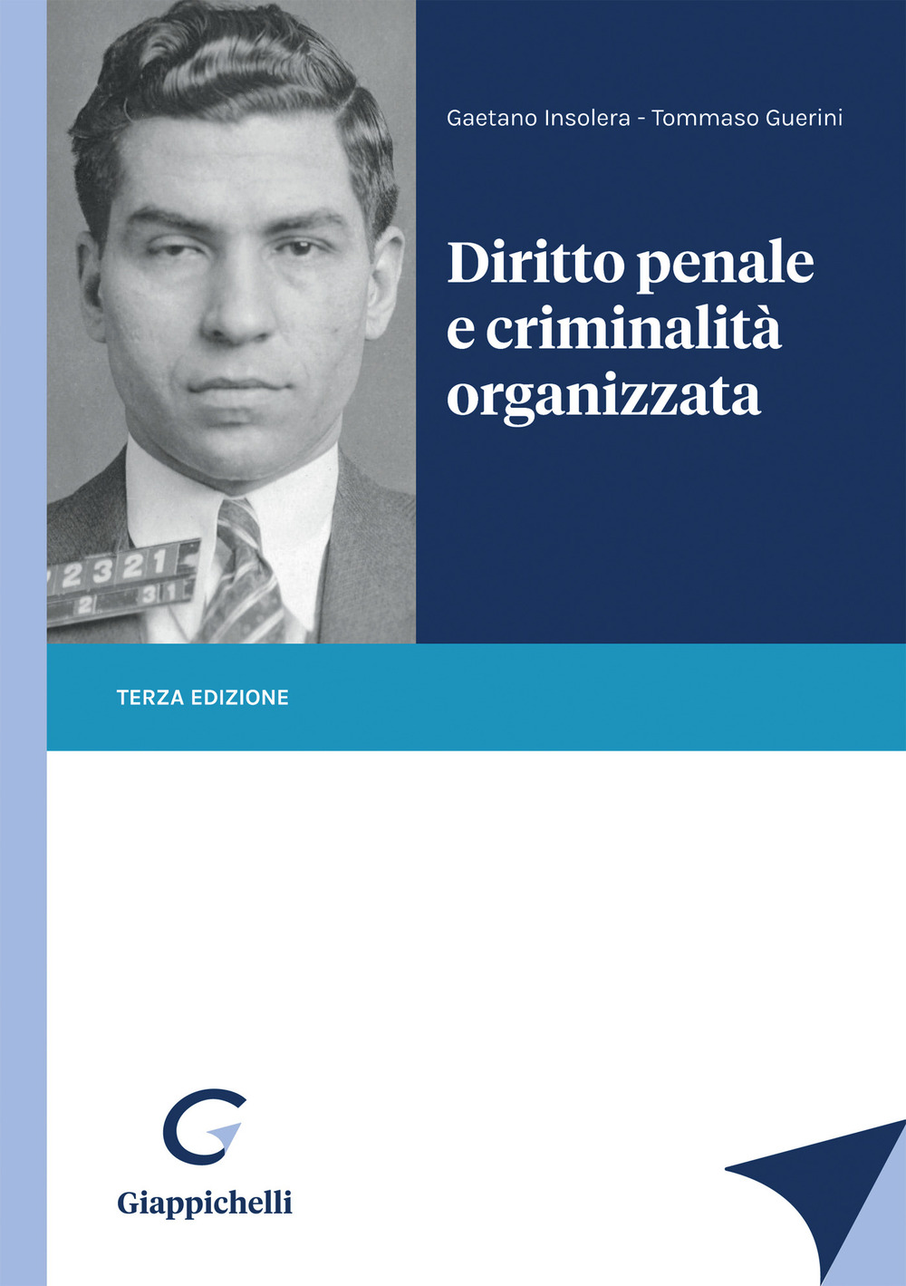 Diritto penale e criminalità organizzata