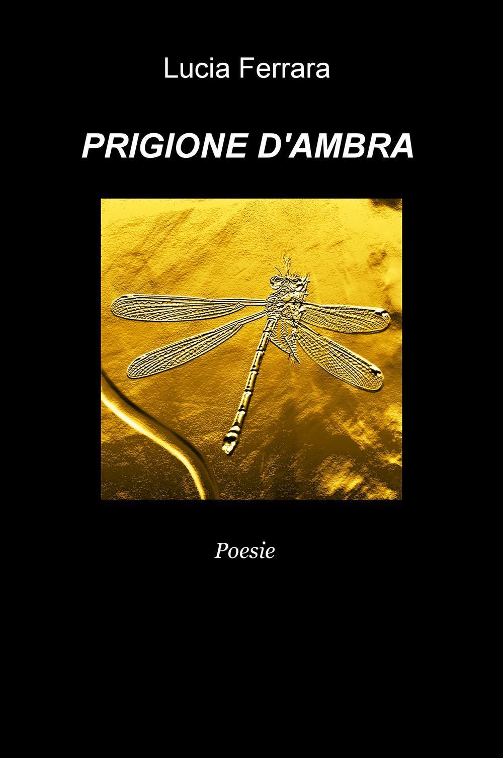 Prigione d'ambra