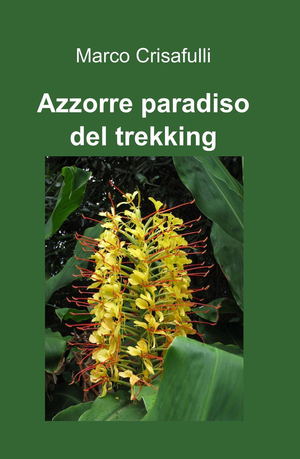 Azzorre paradiso del trekking