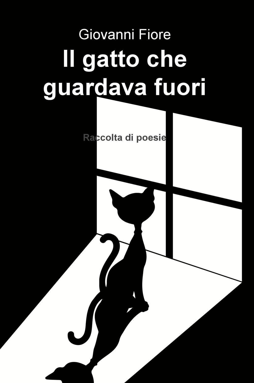 Il gatto che guardava fuori