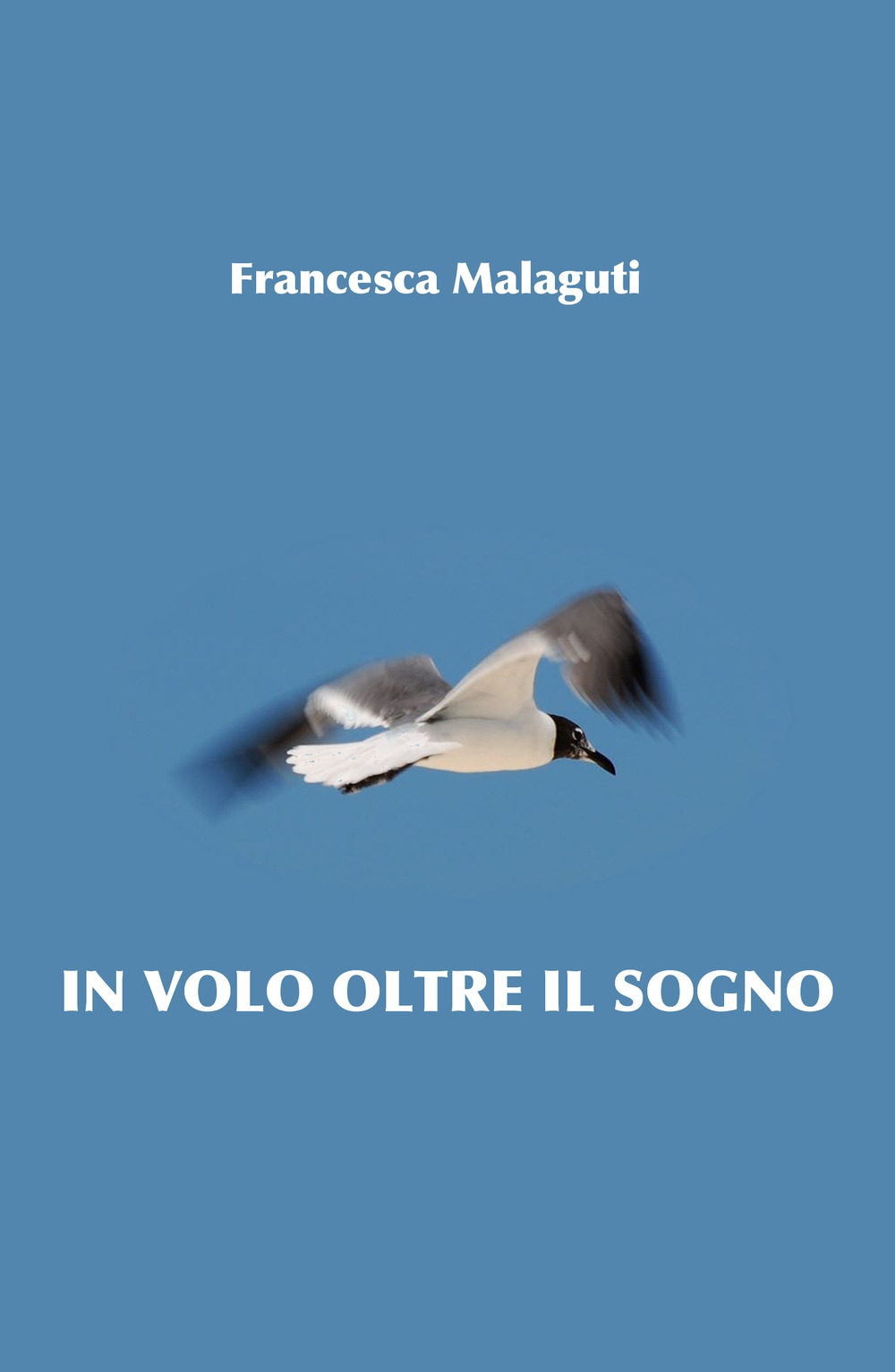 In volo oltre il sogno