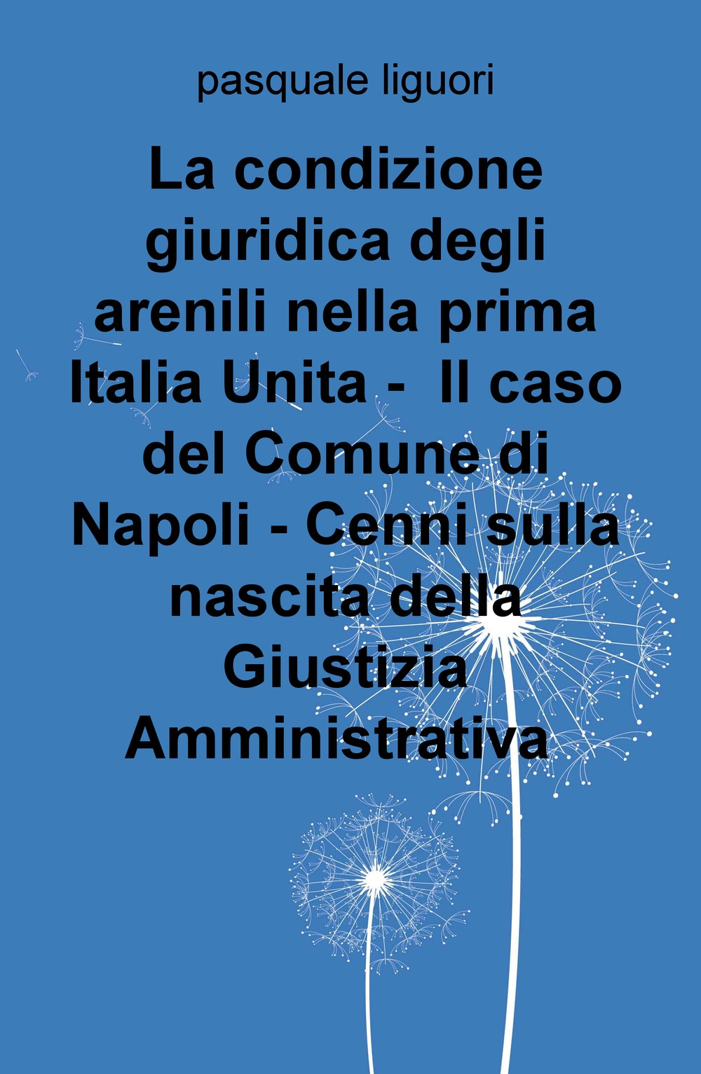 La condizione giuridica degli arenili nella prima Italia unita. Il caso del Comune di Napoli. Cenni sulla nascita della giustizia amministrativa