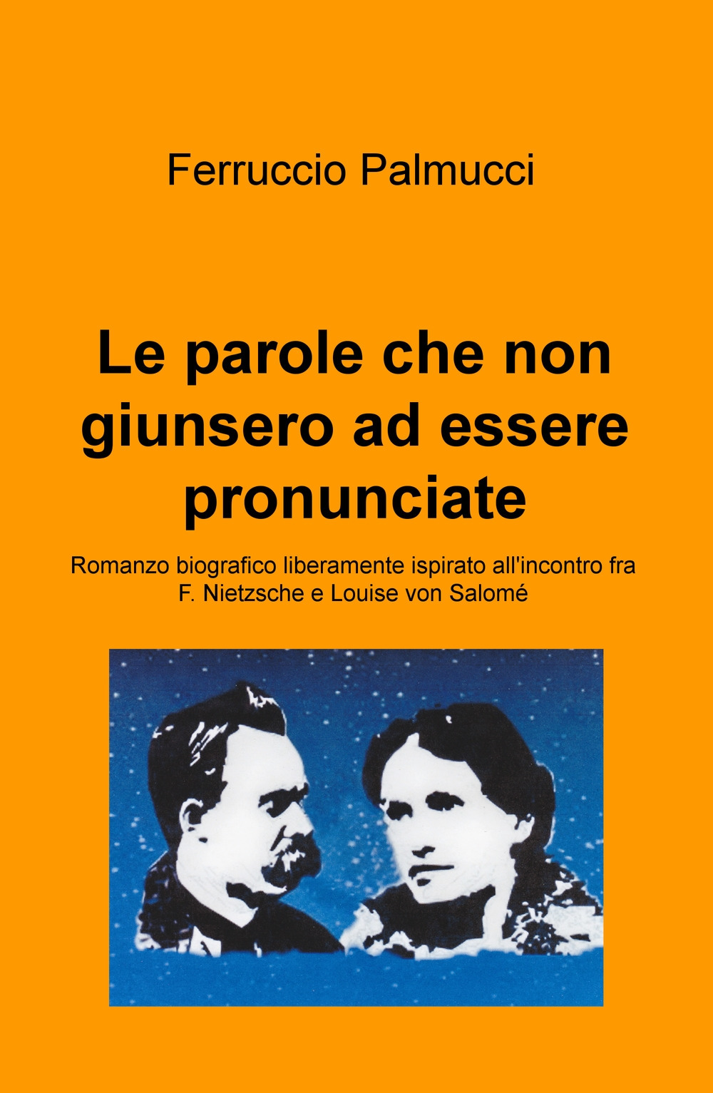 Le parole che non giunsero ad essere pronunciate. Romanzo biografico liberamente ispirato all'incontro fra F. Nietzsche e Louise von Salomé