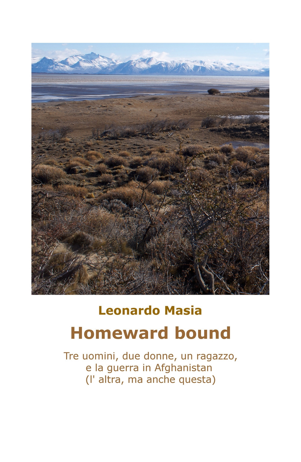 Homeward bound. Tre uomini, due donne, un ragazzo, e la guerra in Afghanistan (non questa, l'altra)