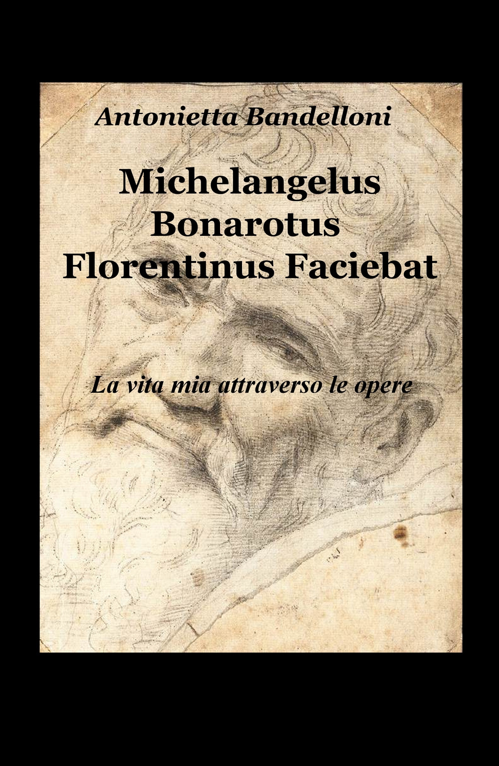 Michelangelus Bonarotus florentinus faciebat. La vita mia attraverso le opere