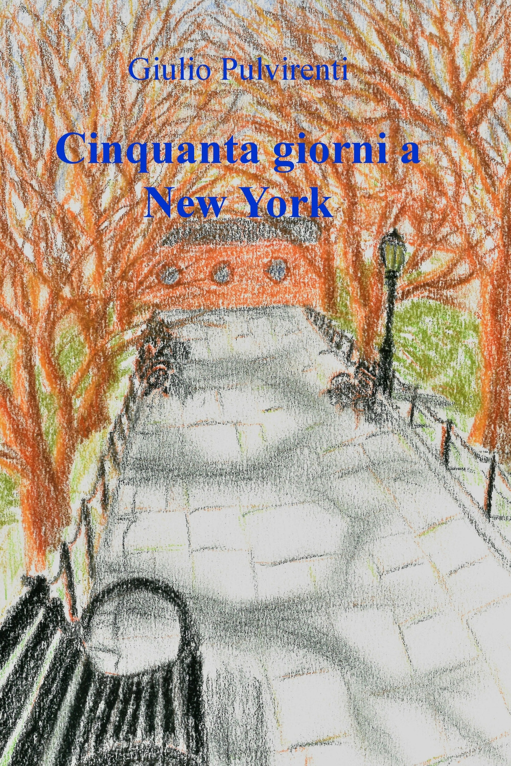 Cinquanta giorni a New York