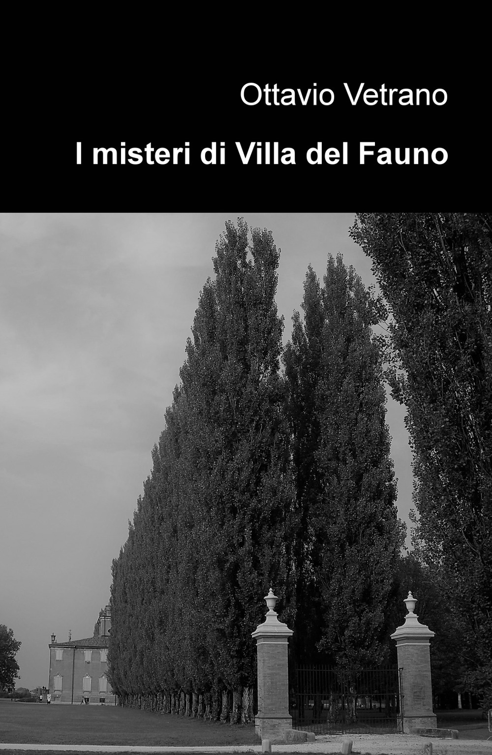 I misteri di Villa del Fauno