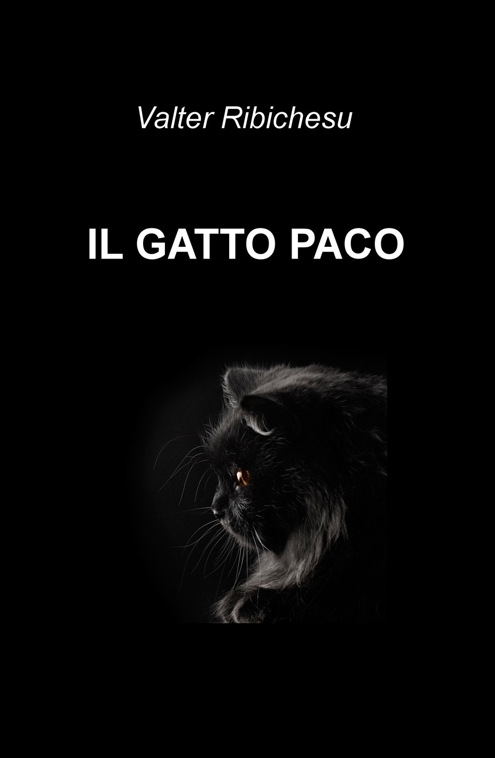 Il gatto Paco