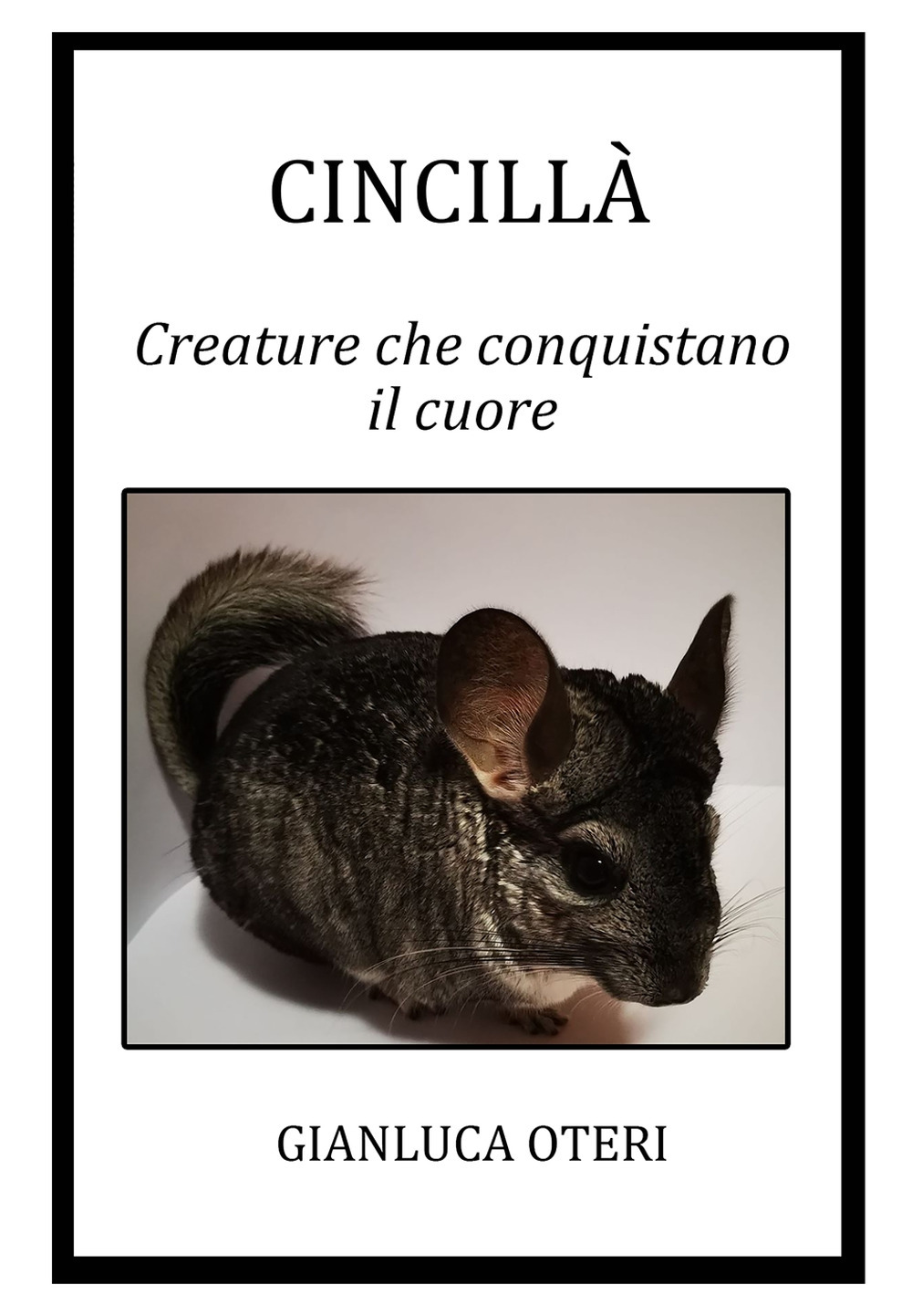 Cincilla. Creature che conquistano il cuore