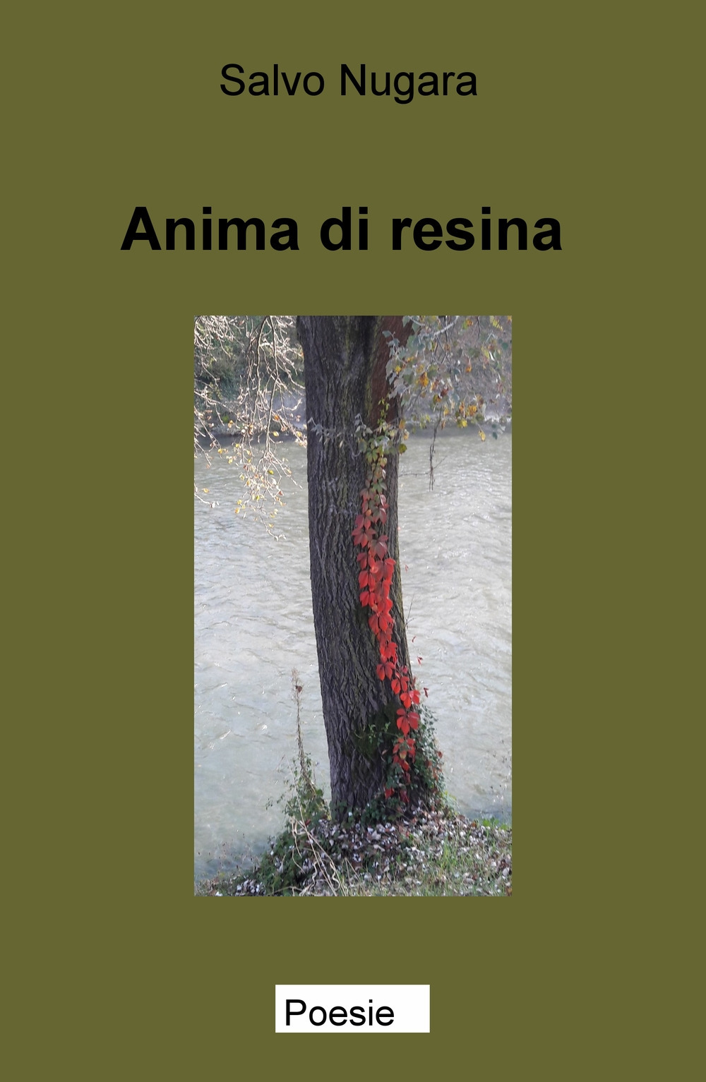 Anima di resina