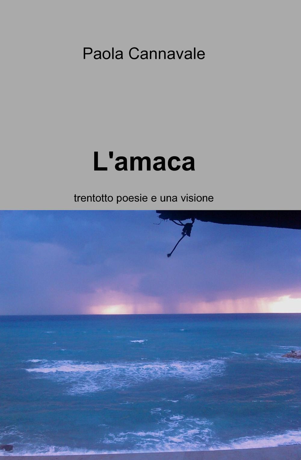 L'amaca. Trentotto poesie e una visione