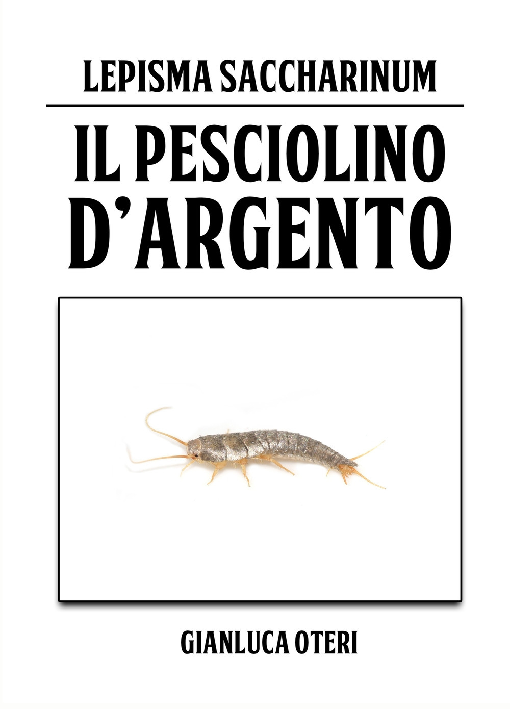 Il pesciolino d'argento. Lepisma Saccharinum