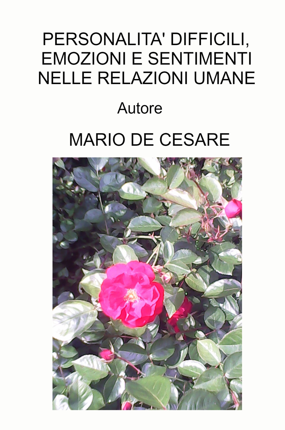 Personalità difficili, emozioni e sentimenti nelle relazioni umane. Manuale per professionisti sanitari e per tutti