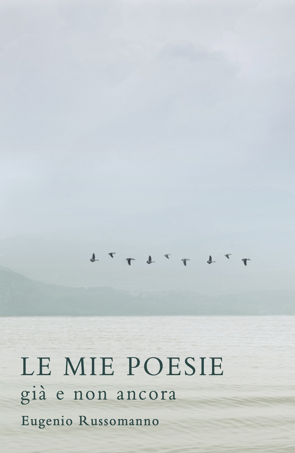 Le mie poesie. Già e non ancora