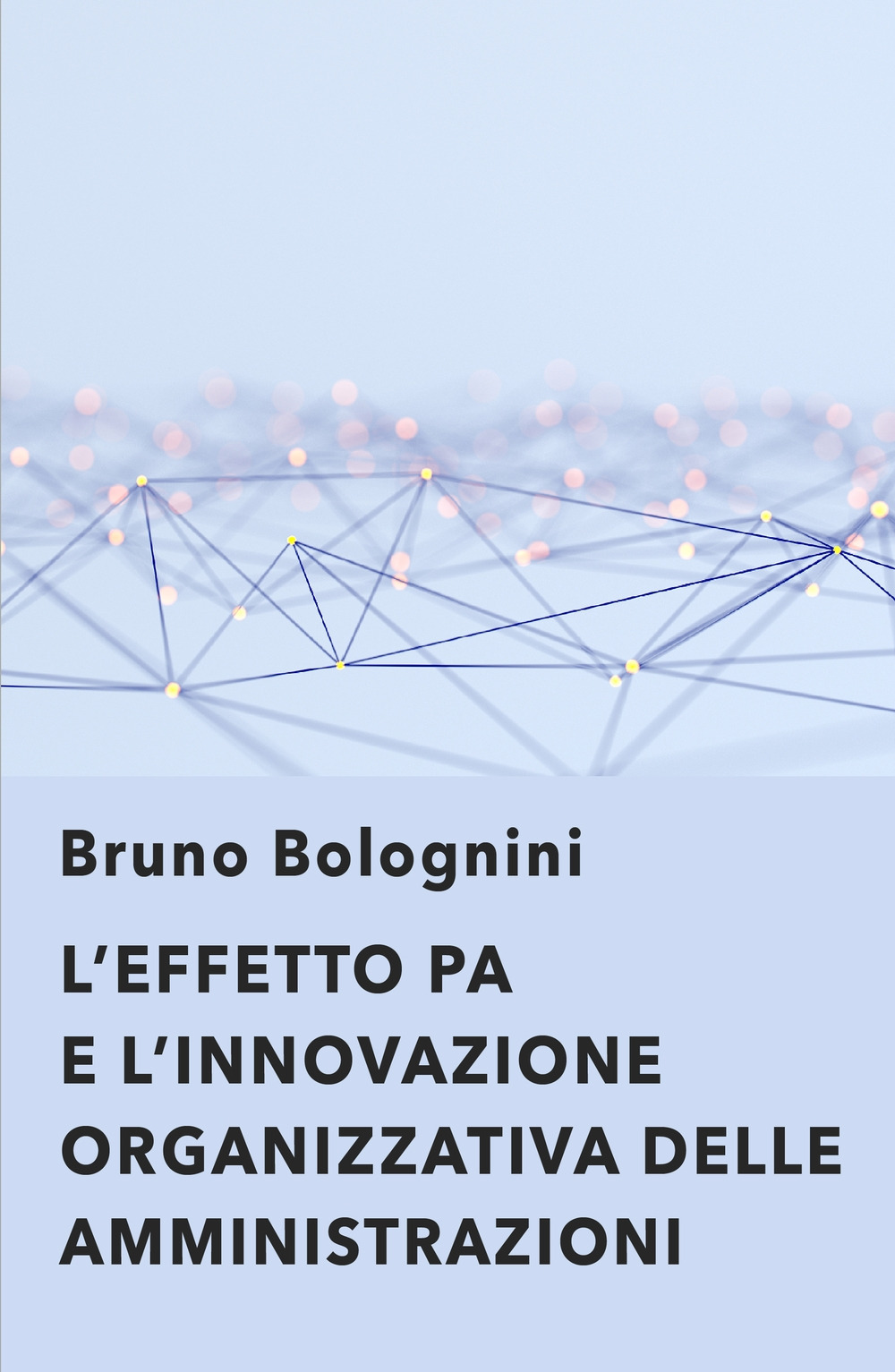 L'effetto PA. L'innovazione organizzativa delle amministrazioni