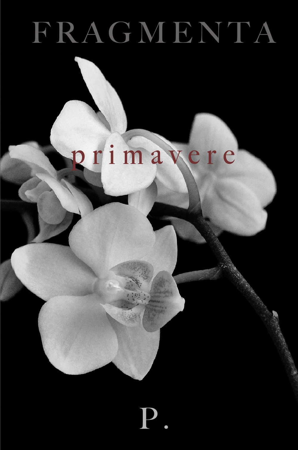 Fragmenta. Primavere