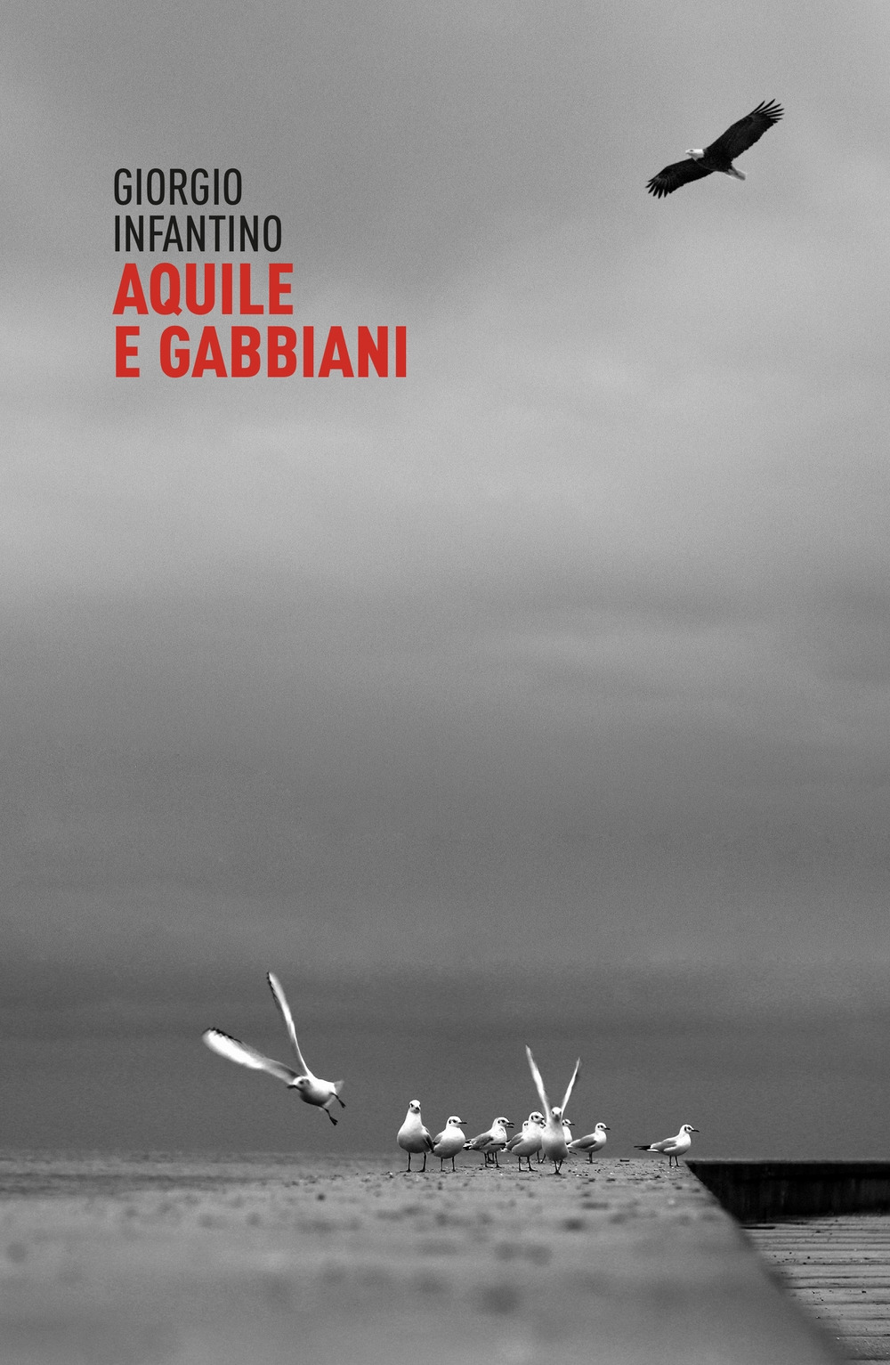 Aquile e gabbiani. Raccolta di novelle