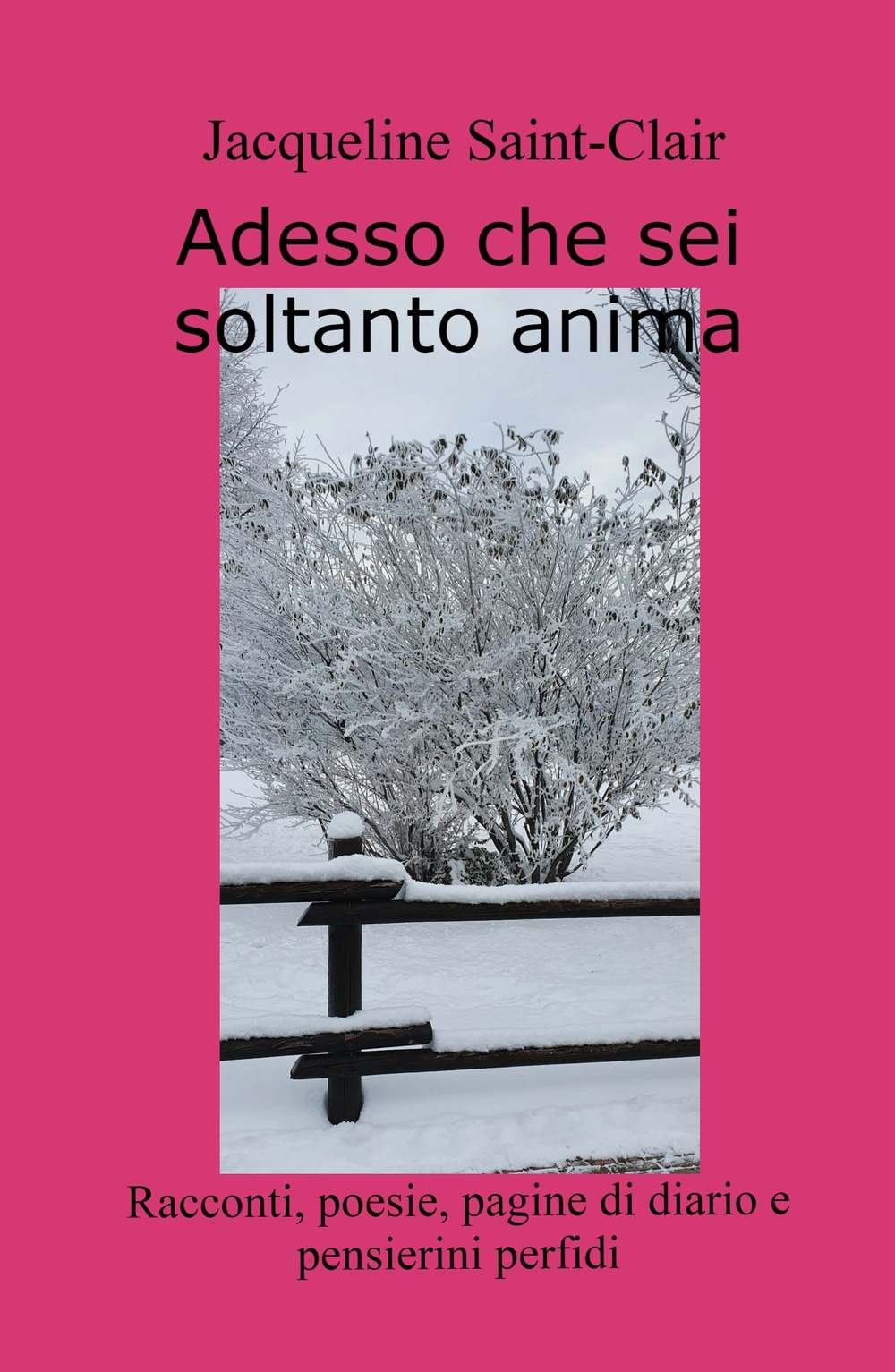 Adesso che sei soltanto anima. Racconti, poesie, pagine di diario e pensierini perfidi