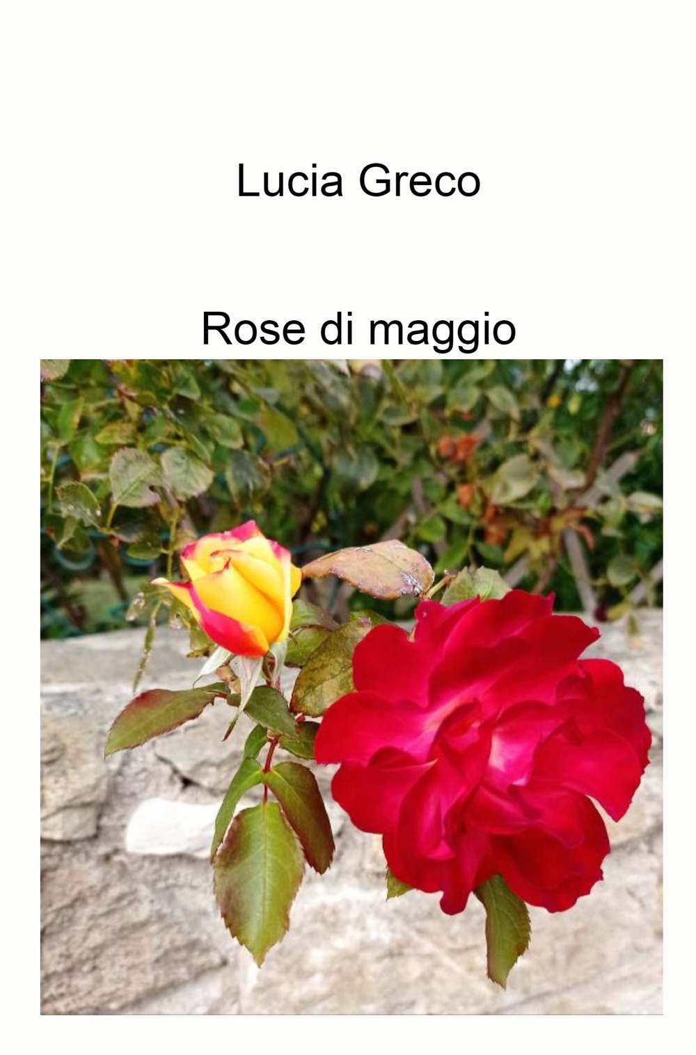 Rose di maggio