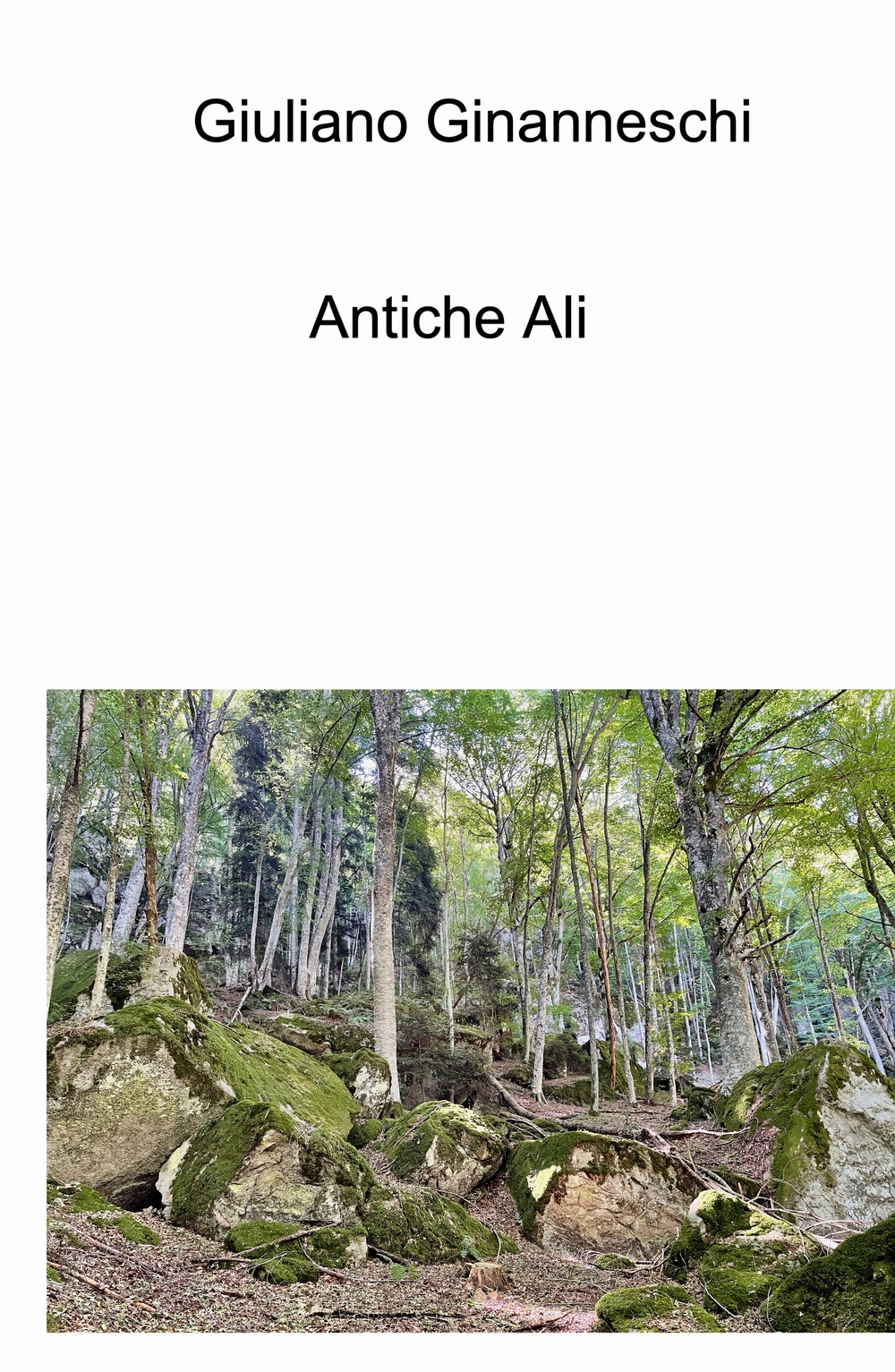 Antiche ali