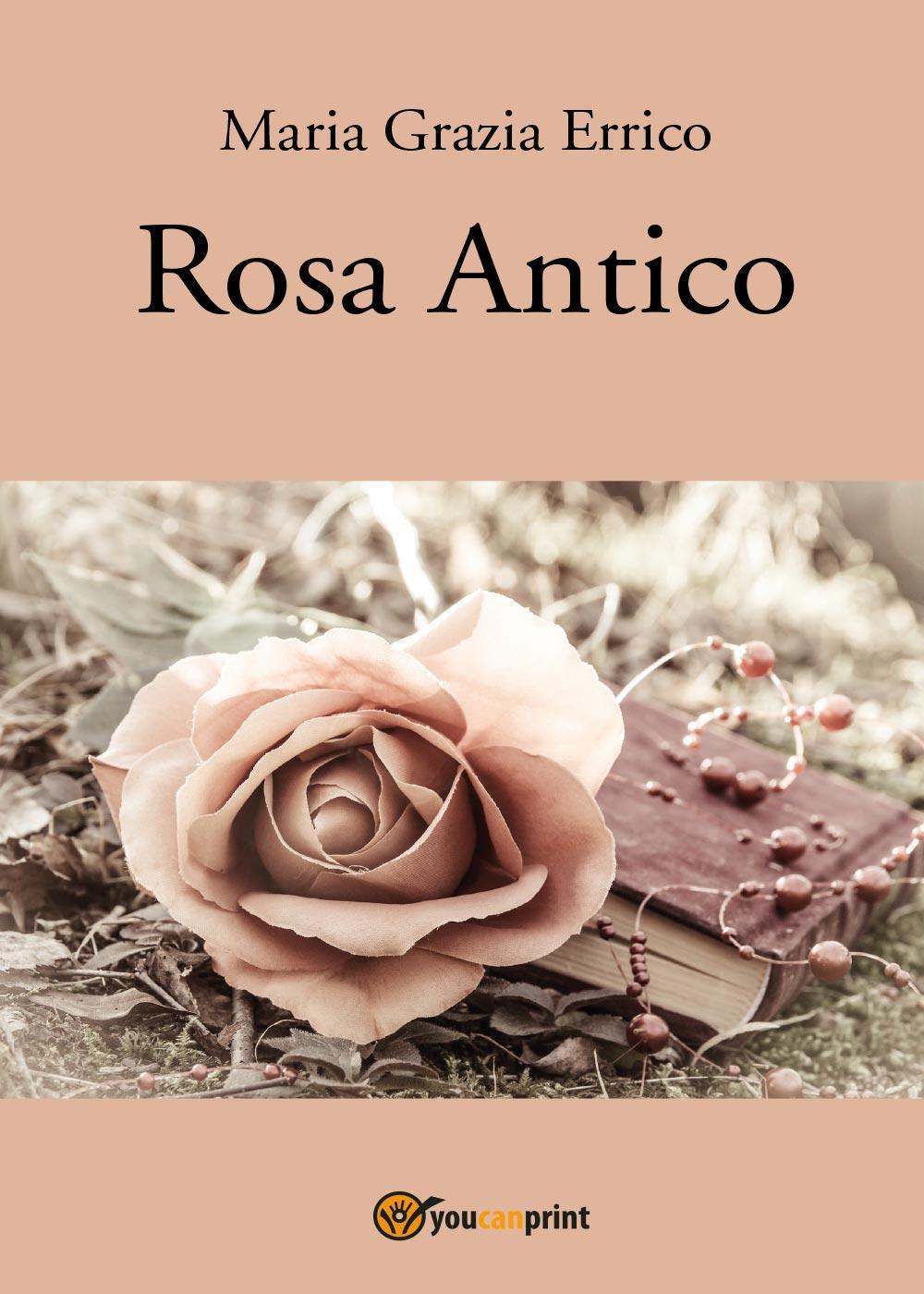 Rosa antico