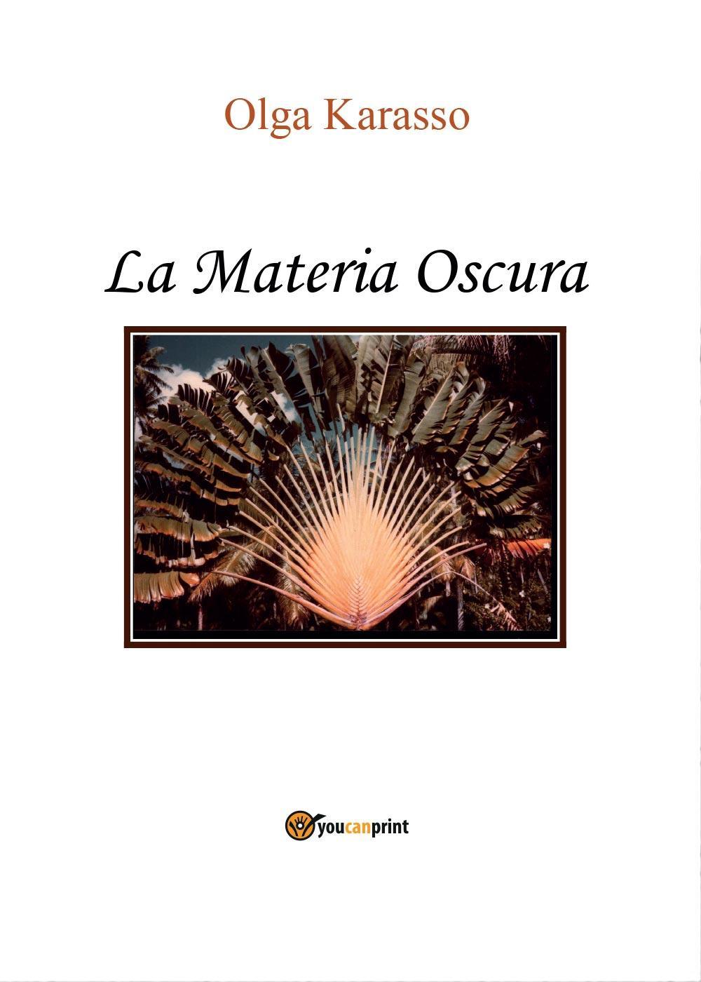 La Materia Oscura