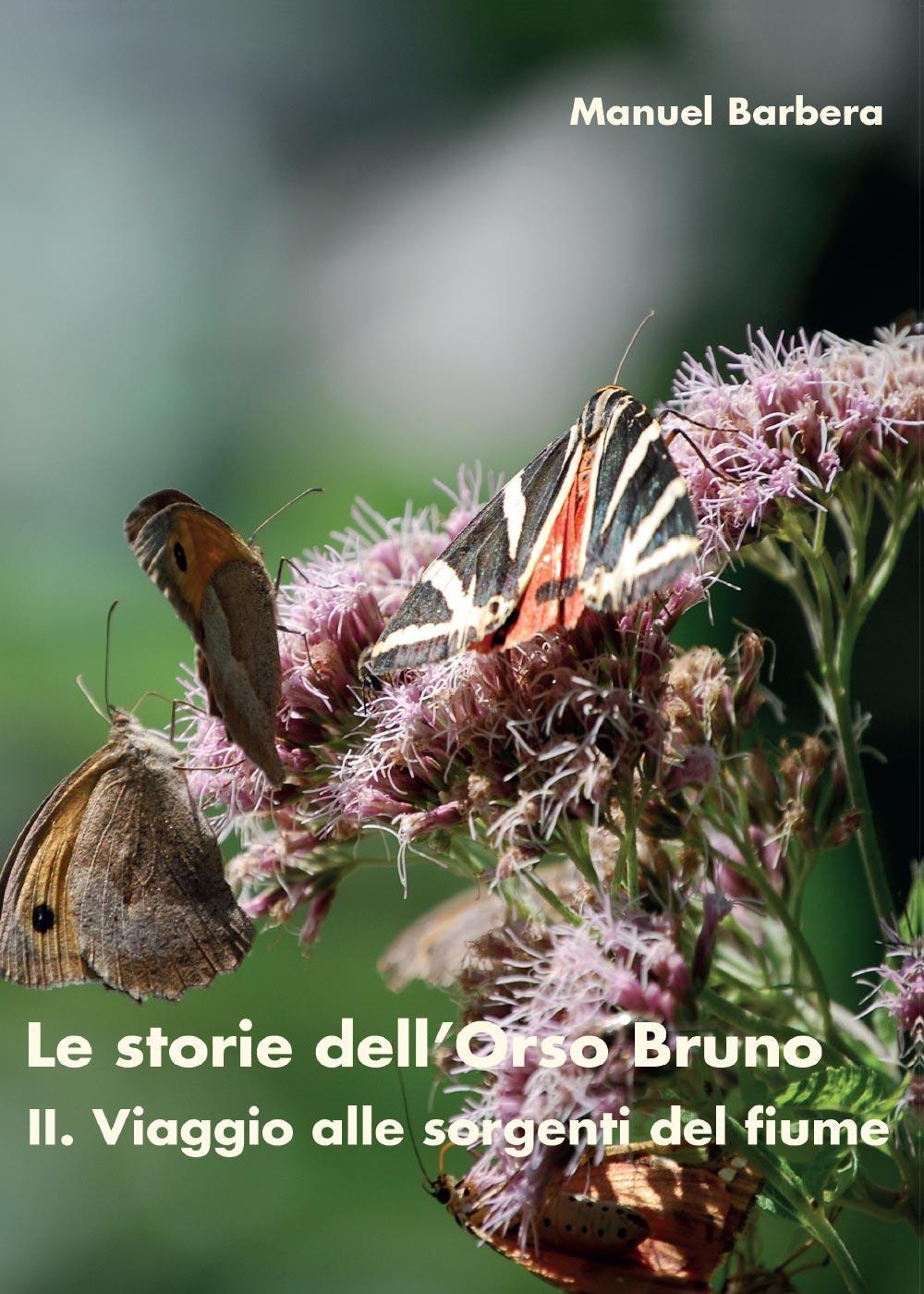 Il viaggio alle sorgenti del fiume. Le storie dell'orso bruno. Vol. 2