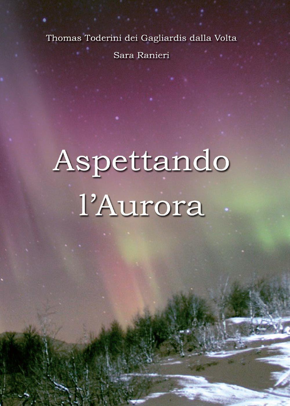 Aspettando l'aurora