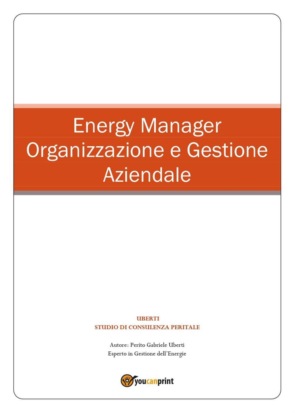 Energy manager. Organizzazione e gestione aziendale