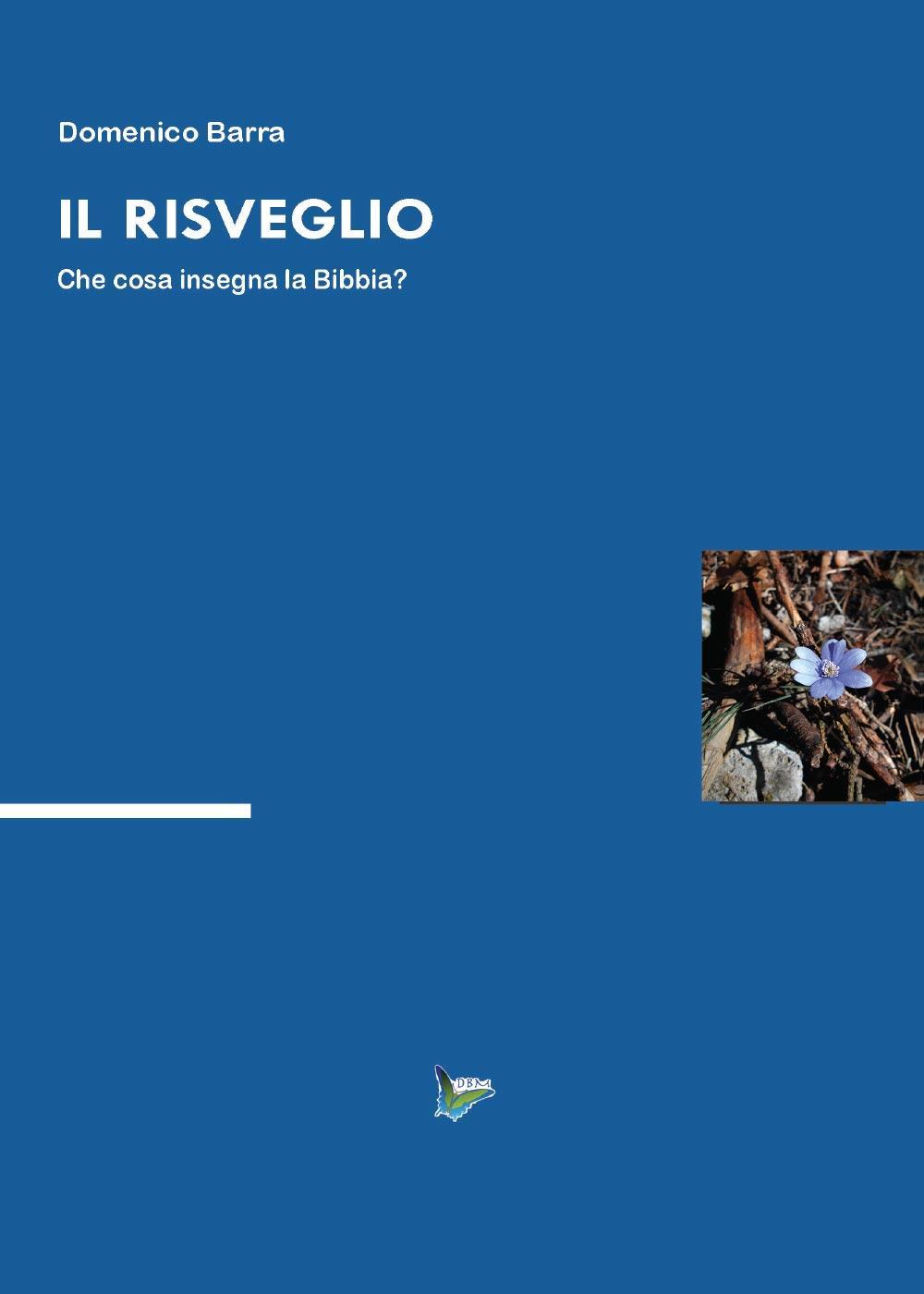 Il risveglio