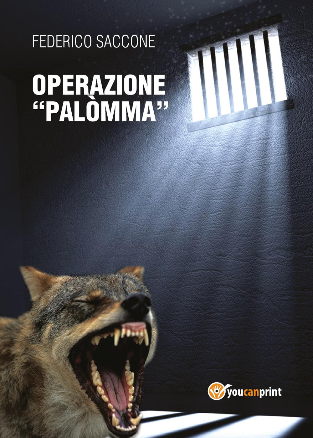 Operazione «Palòmma»