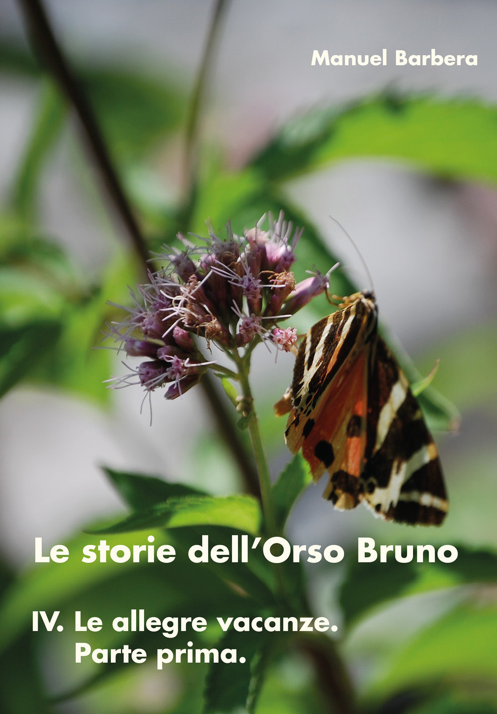 Le allegre vacanze. Parte prima. Le storie dell'orso bruno. Vol. 4