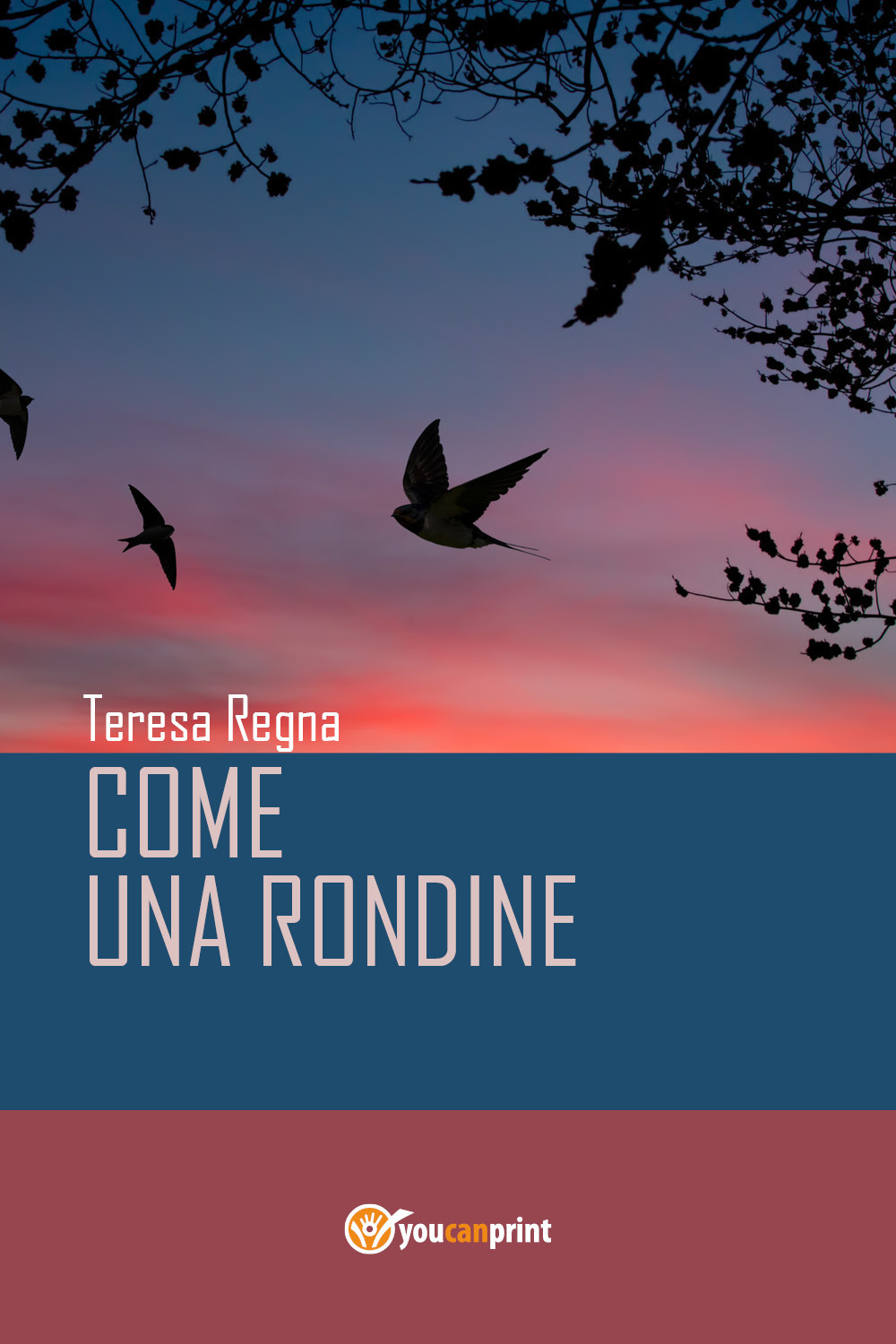 Come una rondine