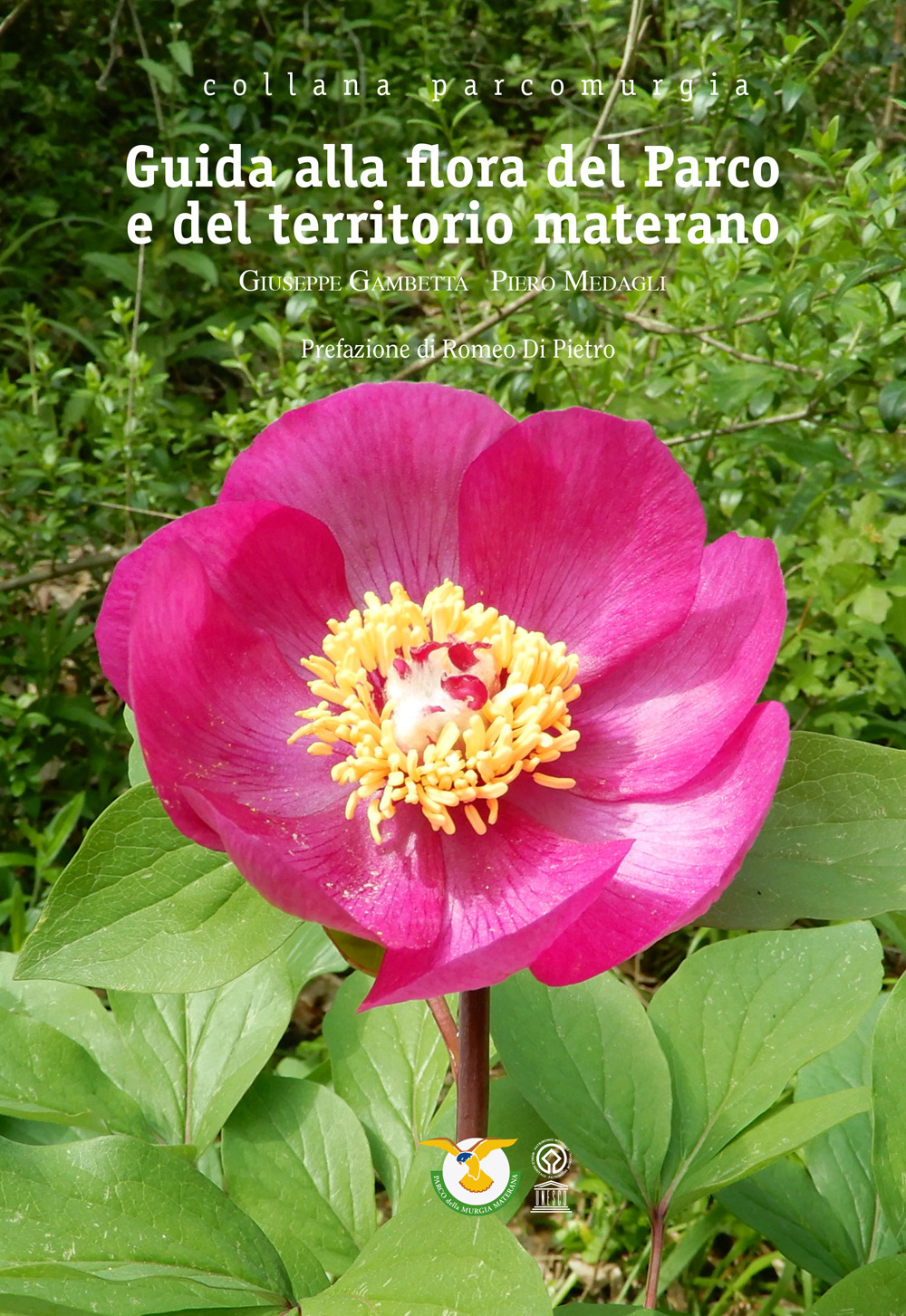 Guida alla flora del Parco e del territorio materano