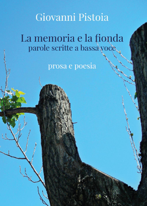 La memoria e la fionda. Parole scritte a bassa voce