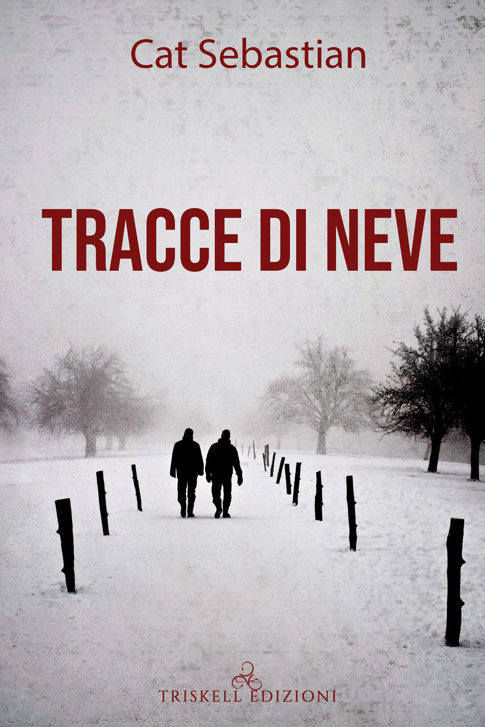 Tracce di neve