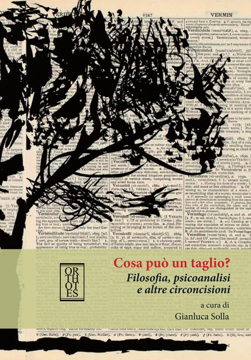 Cosa può un taglio? Filosofia, psicoanalisi e altre circoncisioni