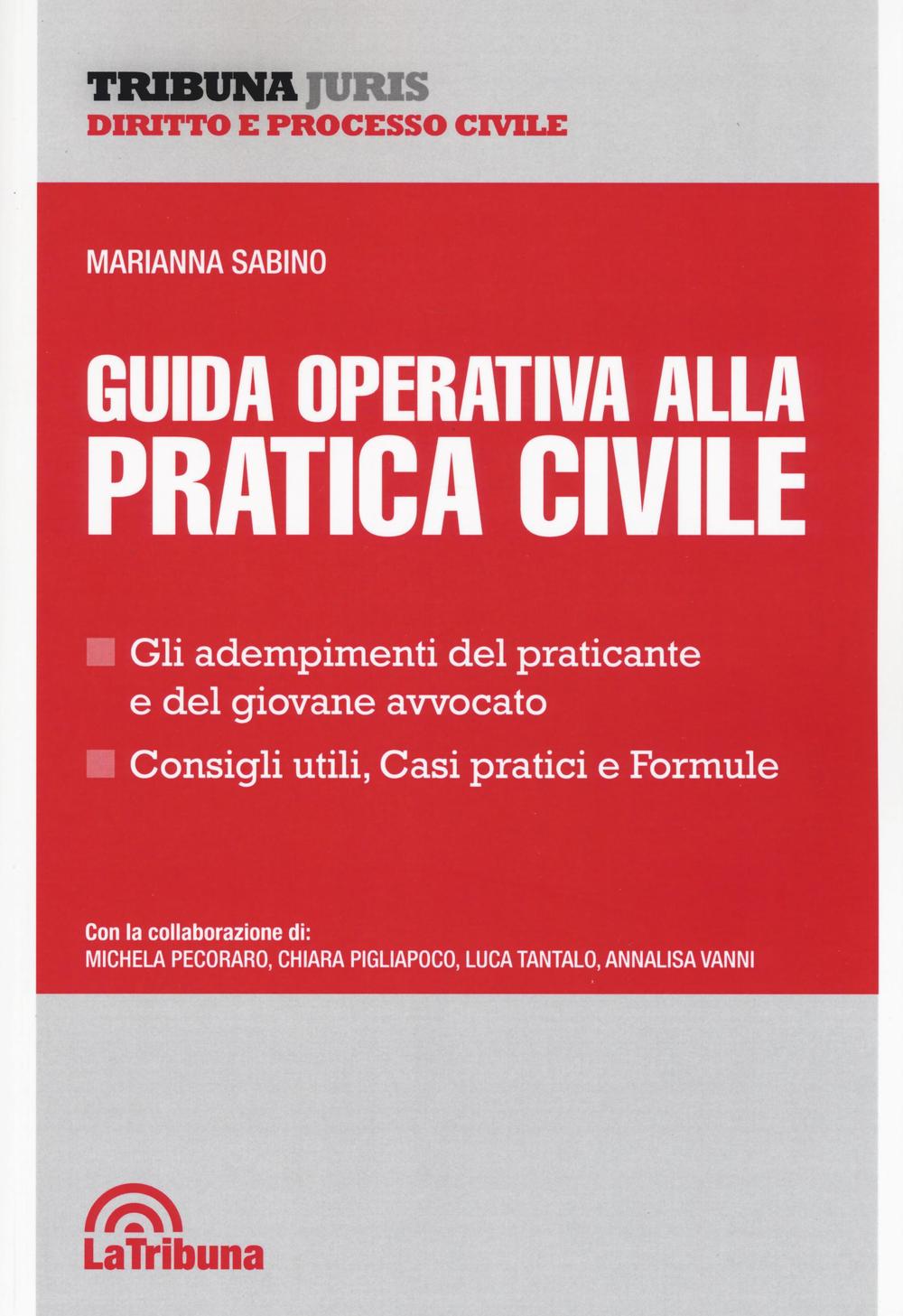 Guida operativa alla pratica civile