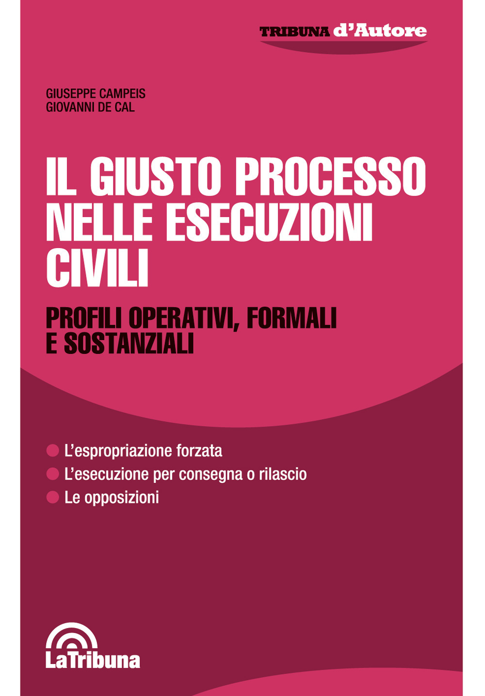 Il giusto processo nelle esecuzioni civili. Profili operativi, formali e sostanziali