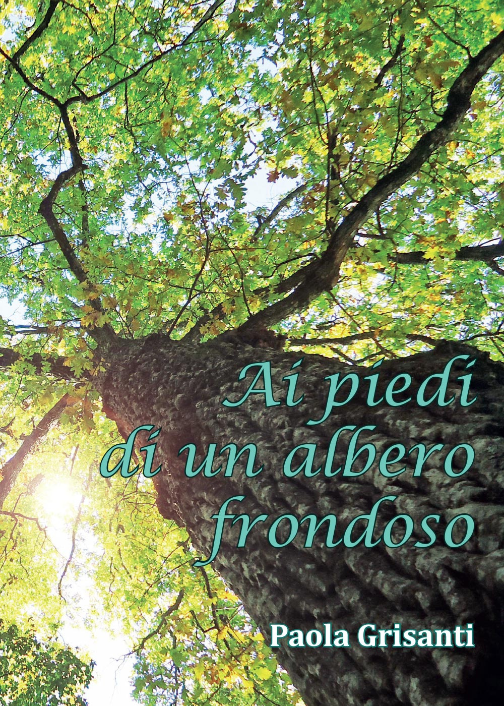 Ai piedi di un albero frondoso