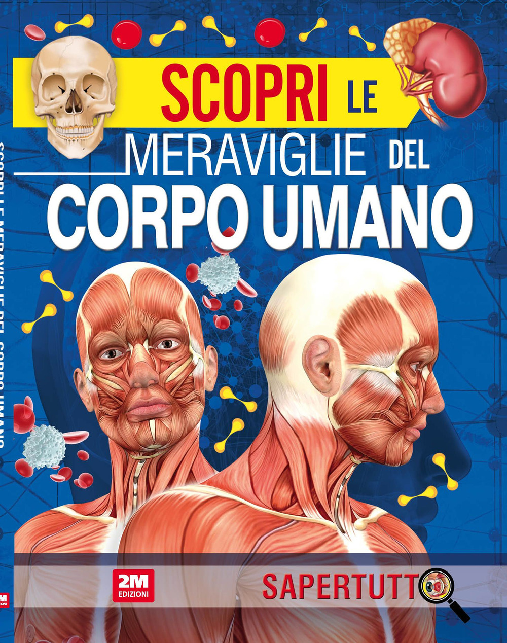 Scopri le meraviglie del corpo umano. Ediz. a colori