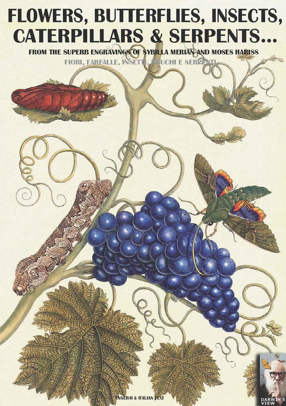 Flowers, butterflies, insects, caterpillars & serpents... From the superb engravings of Sybilla Merian and Moses Hariss