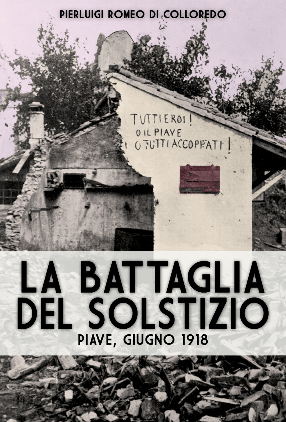 La battaglia del Solstizio. Piave, giugno 1918