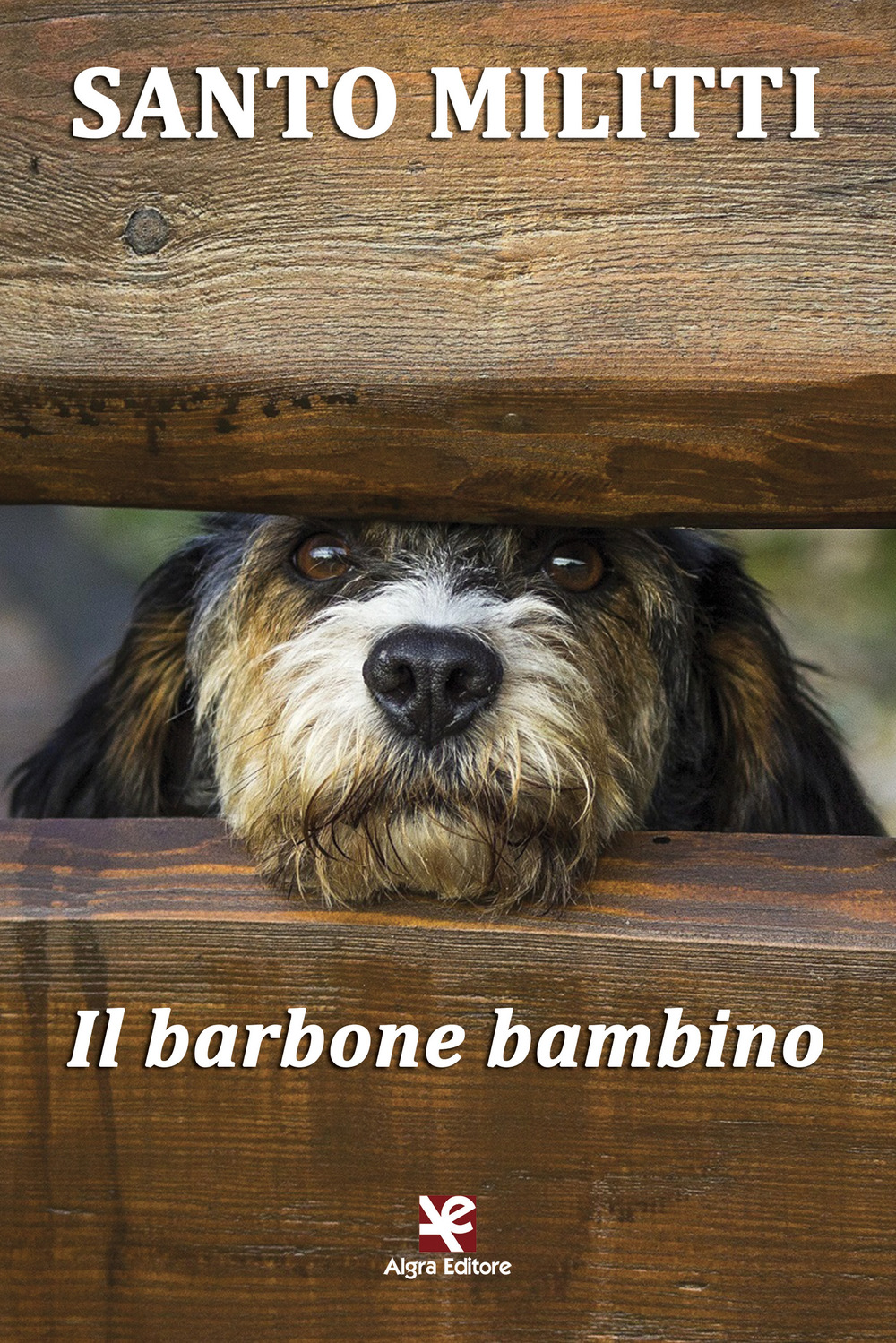 Il barbone bambino