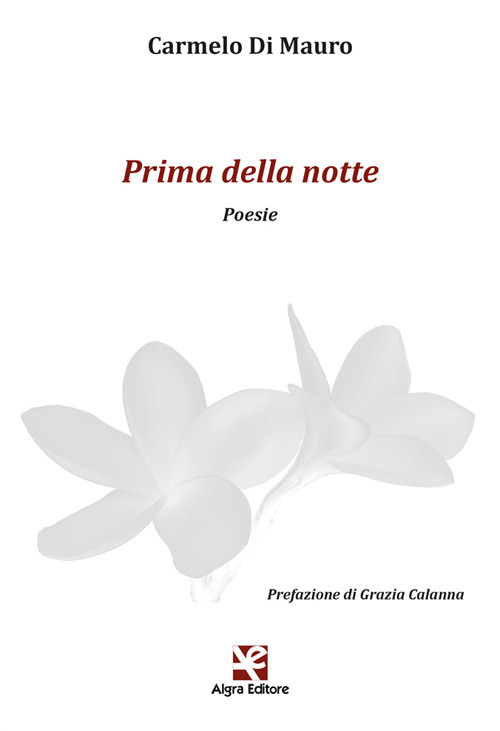 Prima della notte