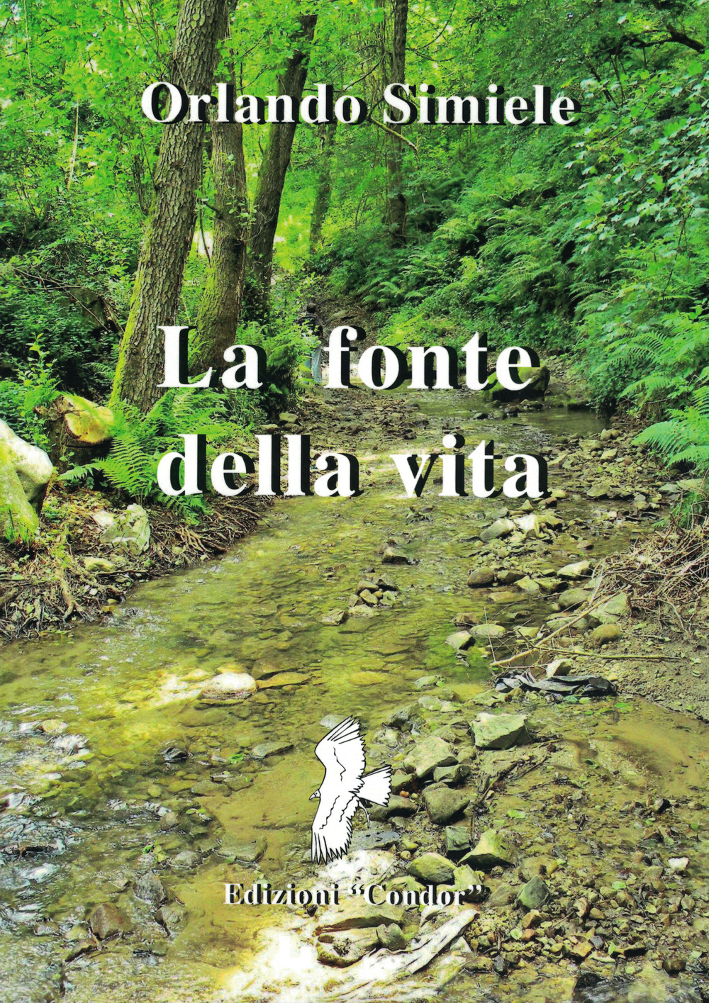 La fonte della vita