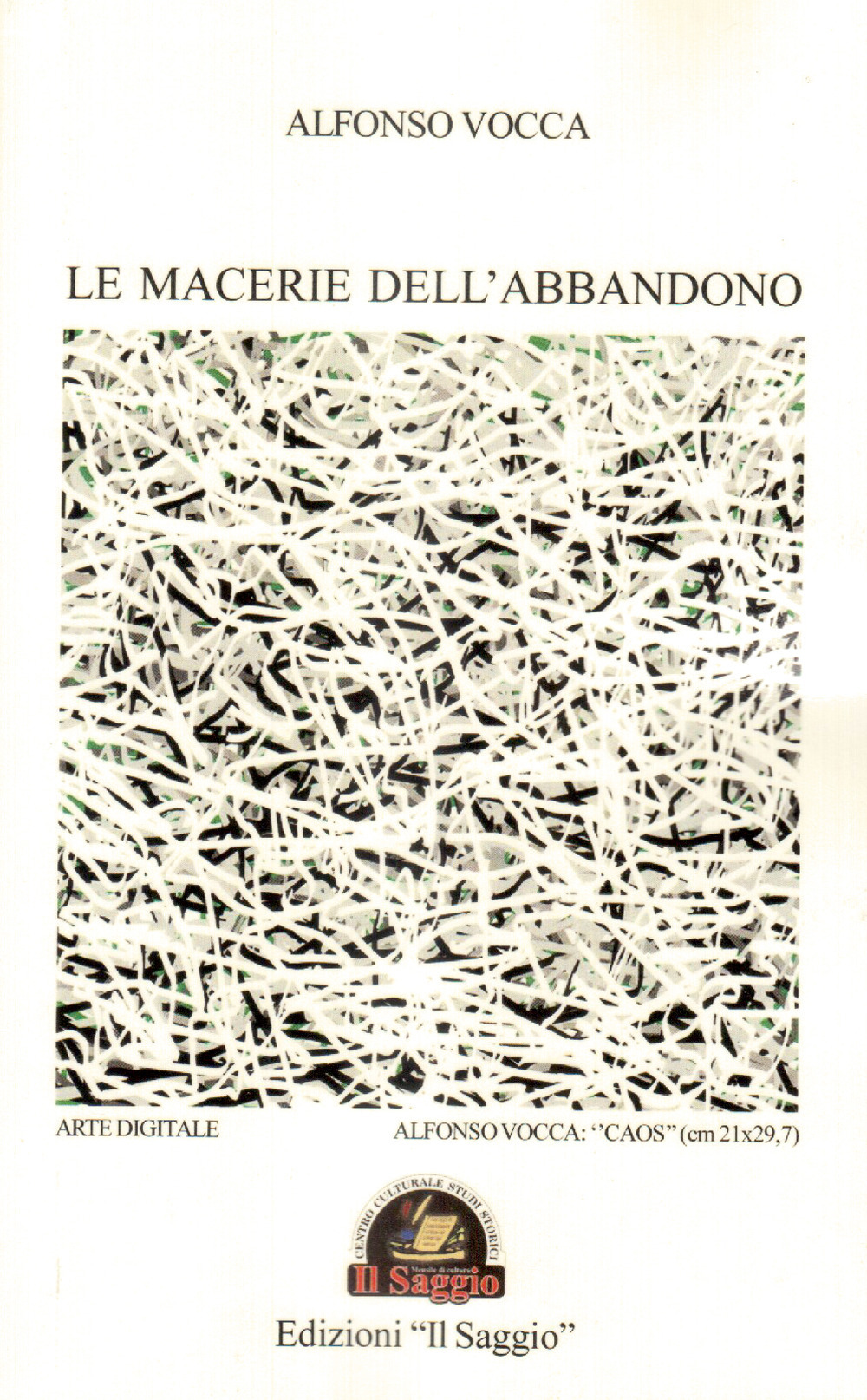 Le macerie dell'abbandono