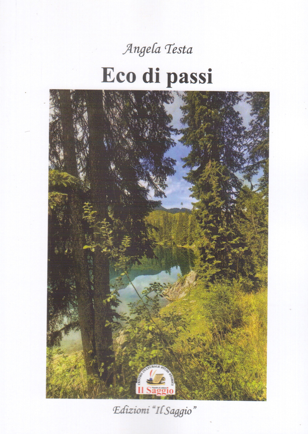 Eco di passi